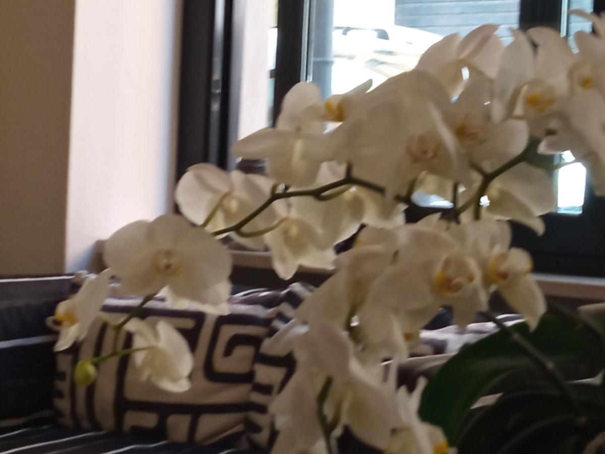 Hotel Touring Livorno Esterno foto